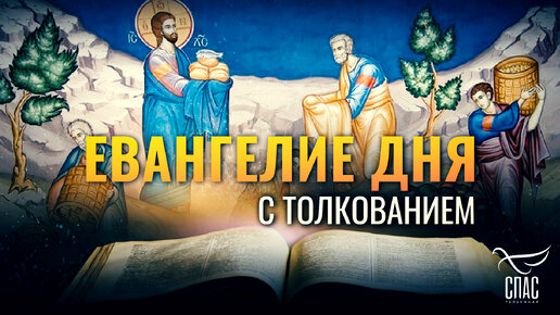 «ВЗЯВ ПЯТЬ ХЛЕБОВ И ДВЕ РЫБЫ И ВОЗЗРЕВ НА НЕБО, БЛАГОСЛОВИЛ ИХ» / ЕВАНГЕЛИЕ ДНЯ