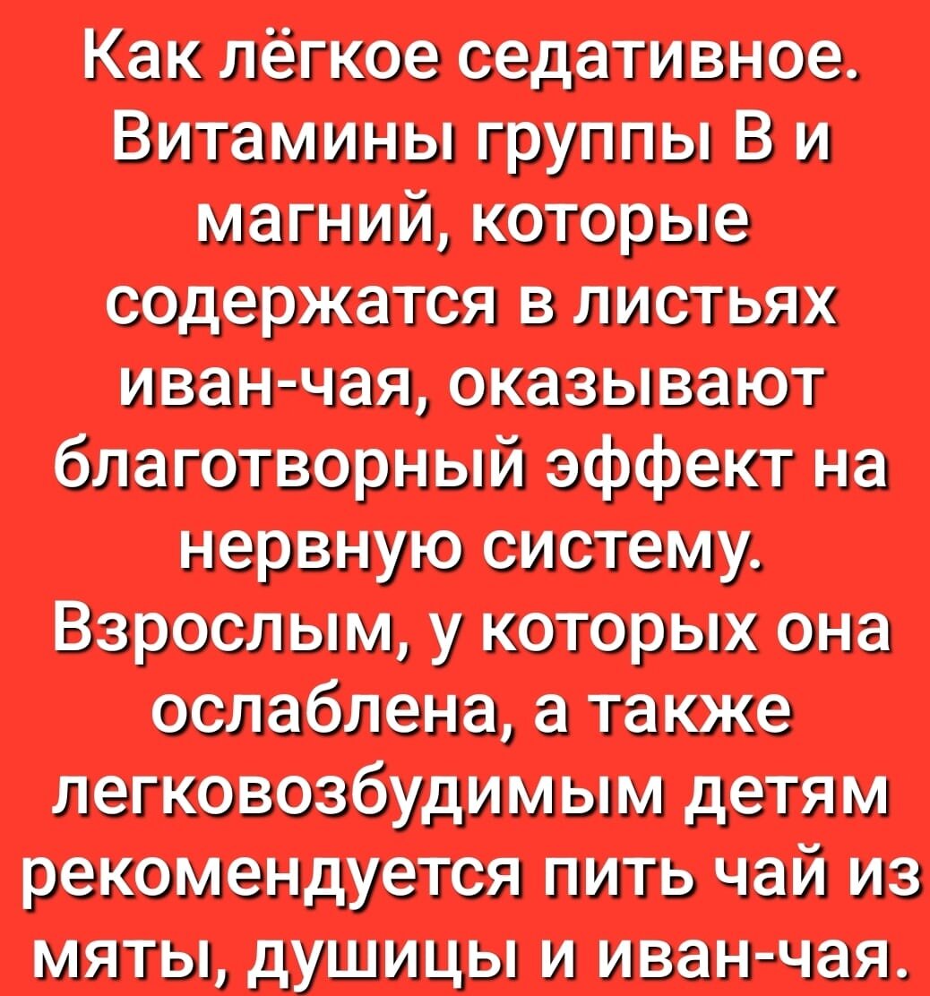 Ведьмёныш. Сон, который не сон. Про аптеку, про приглашение на бал и про  экологию | Ведьмины подсказки. Мифы, фэнтези, мистика | Дзен