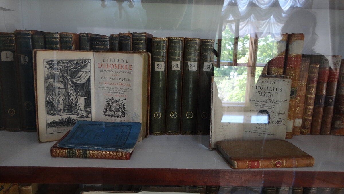 Библиотека Царскосельского лицея