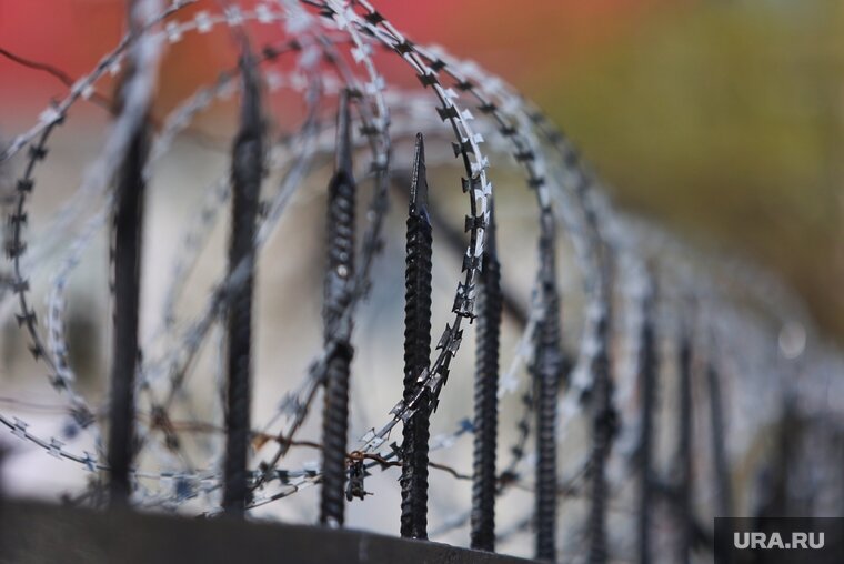    Мужчину приговорили к сроку в колонии особого режима