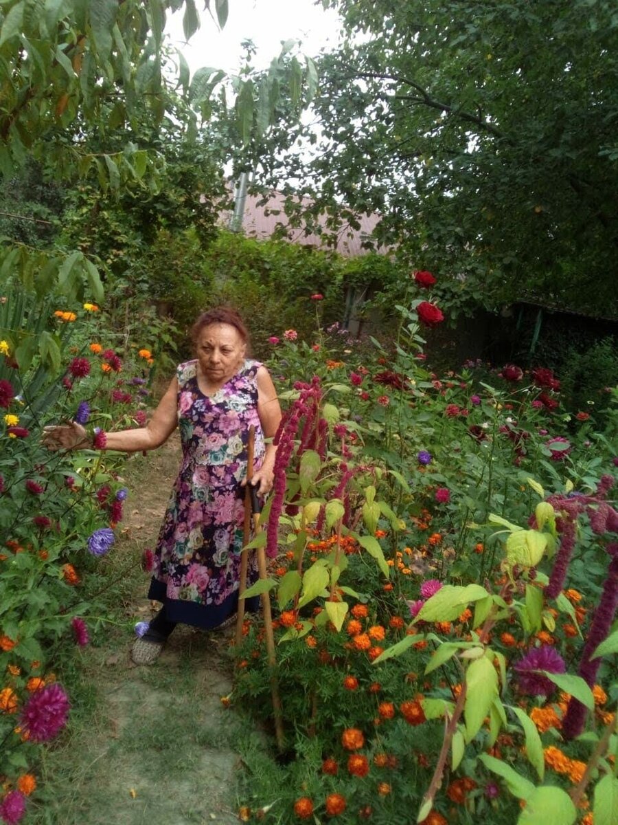 Она знала всё о заботе государства о пенсионерах. С 1945 года. Ей было с чем сравнить.