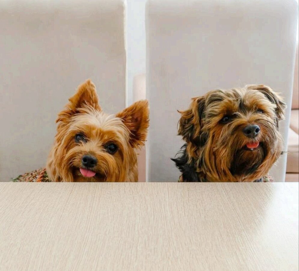 Самая вкусная еда таит в себе маленький секрет... в нее бросают всегда щепоточку любви.  В ожидании обеда 🤪.