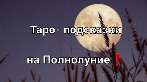 Карта таро на Полнолуние 28 октября, для всех знаков зодиака❗🌕