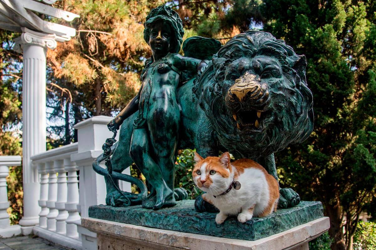 На фото два льва!