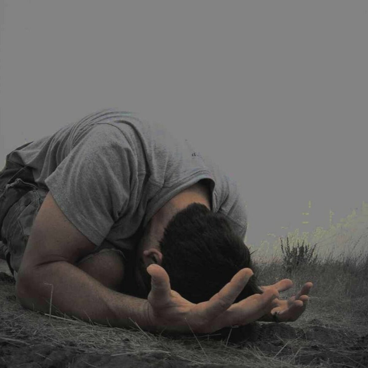 фото с просторов интернета