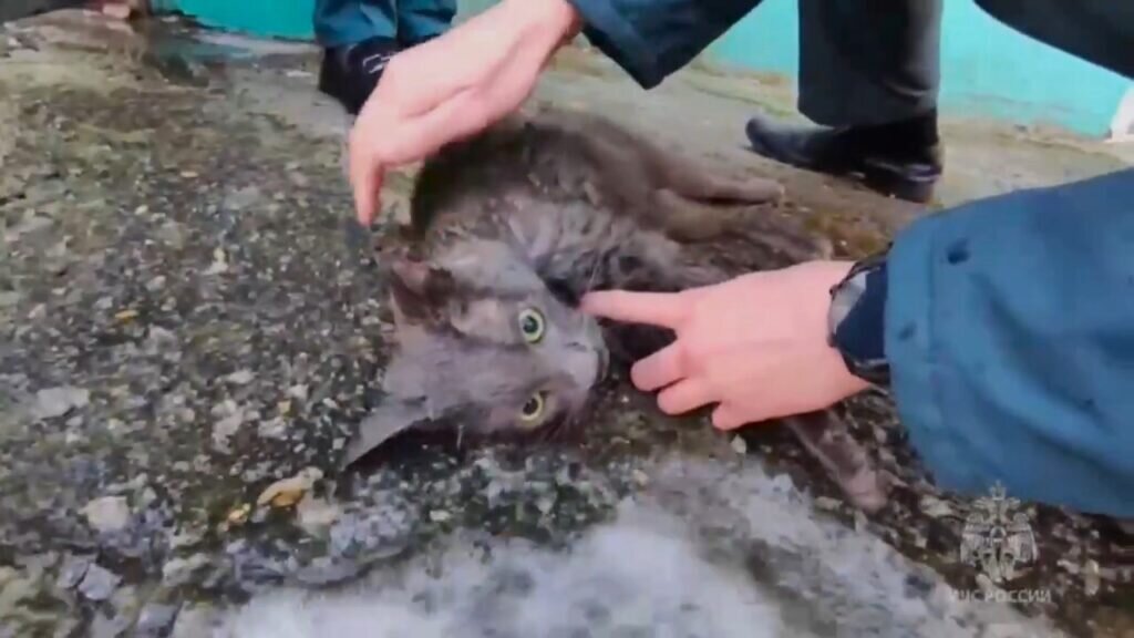    Фото: ГУ МЧС России по Амурской области