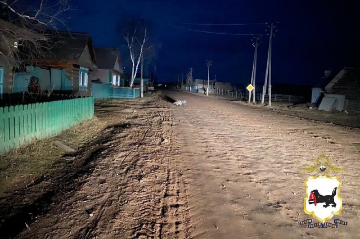    Двое школьников пострадали в ДТП, сбив коня на мопеде в Иркутской области