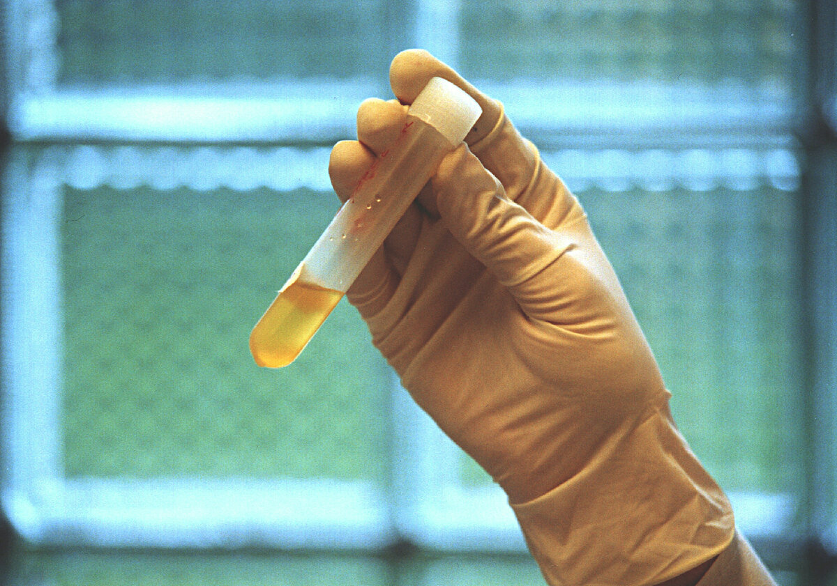 Фото: VICTOR LISITSYN, ВИКТОР ЛИСИЦЫН/GLOBALLOOKPRESS.