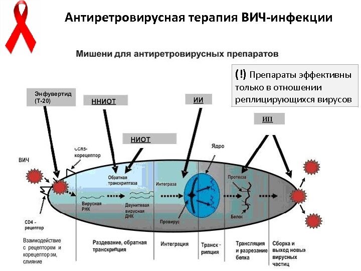 Минимальное число антиретровирусных препаратов в схемах арт при вич инфекции составляет