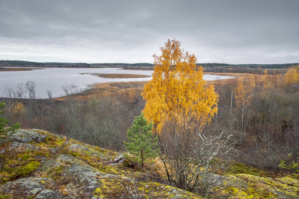 Клюшина гора Карелия