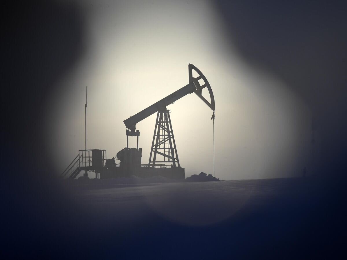    Нефтяная качалка в Альметьевском районе Республики Татарстан© РИА Новости / Максим Богодвид