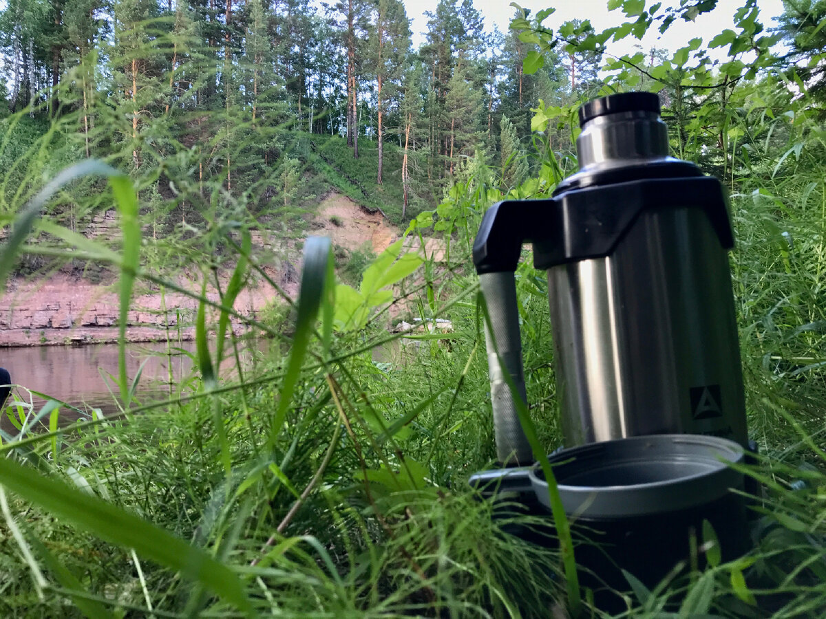 Моё фото из тайги 