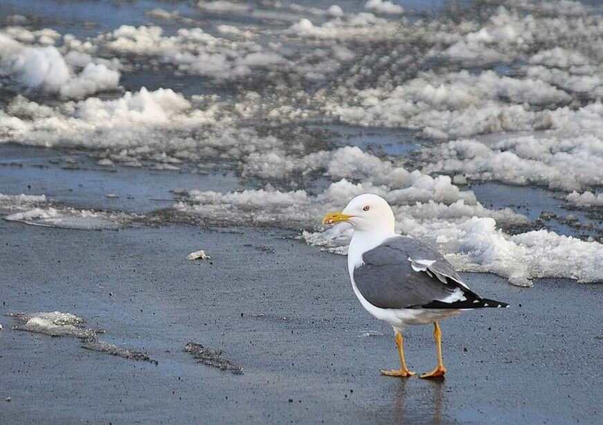 Источник: Интернет