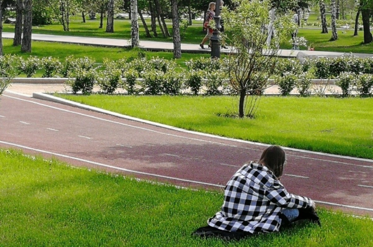    На территории Сосновки в Белгороде построят велодорожкии за 100 млн рублей