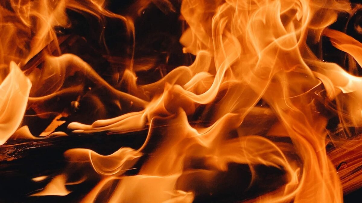    Фото: Unsplash Август Макаров