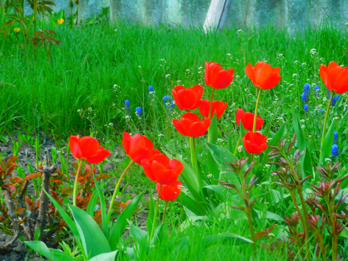 Фото автора канала