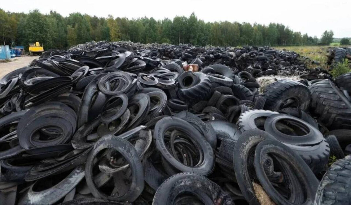     Покрышки. Источник: spb.kp.ru Автор фото: Юлия Пыхалова