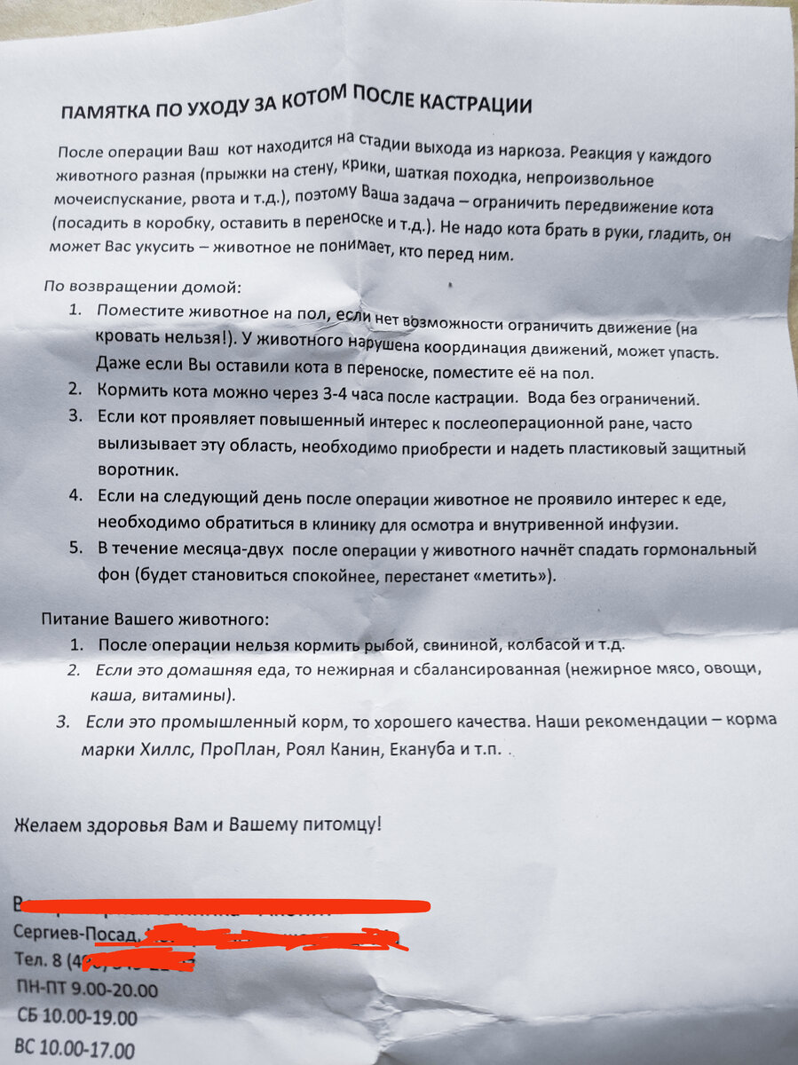 Личный архив. Напомню, такую памятку нам выдали на выходе из клиники.