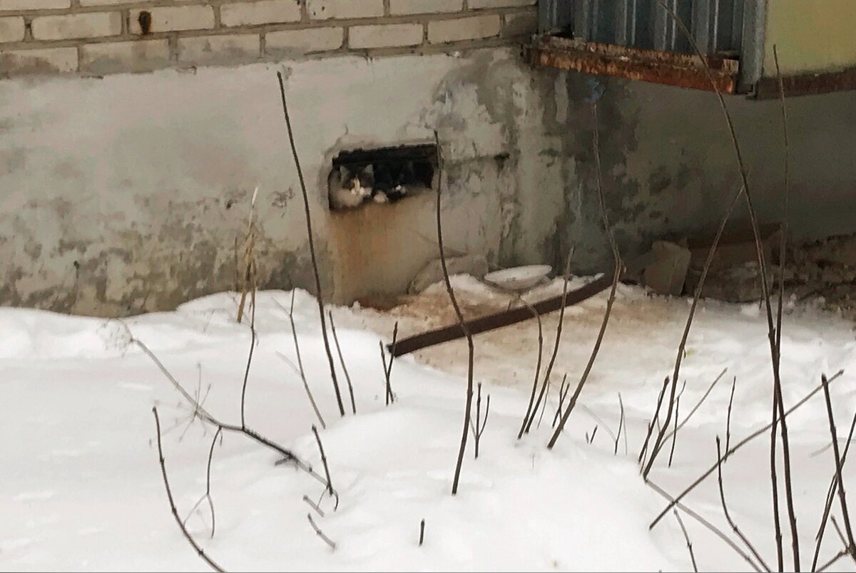 -2-2