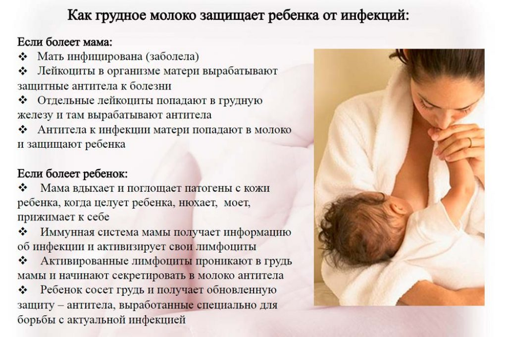 Зубы кормящей мамы. Влияние грудного вскармливания на ребенка. Рекомендации по грудному вскармливанию. Кормление детей с грудного молока. Грудное вскармливание новорожденных памятка.