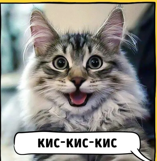 Арабских кошечек звать так точно не надо 