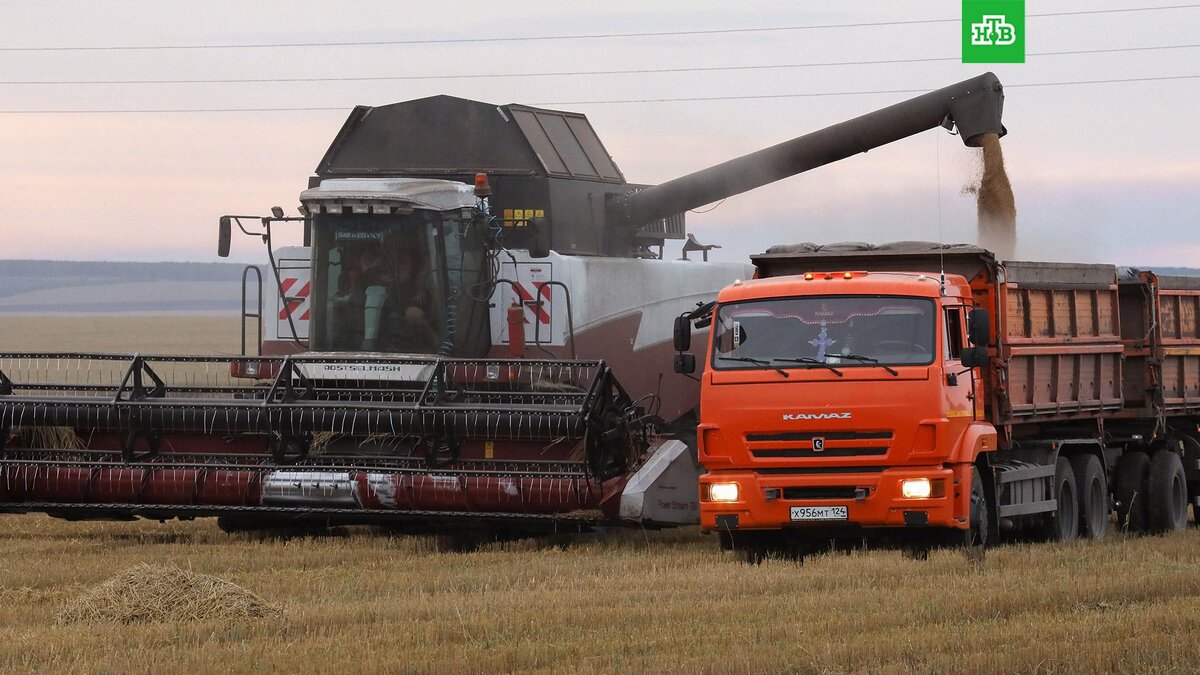    Фото: РИА Новости © 2023, Илья Наймушин