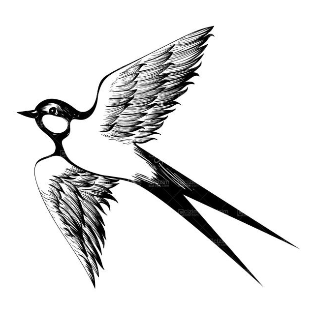 Из открытых источников