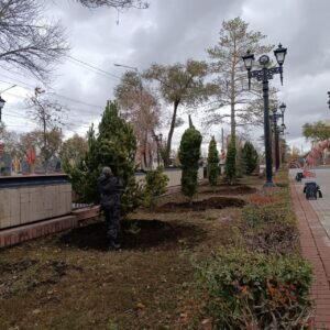  📷    В Оренбурге у Вечного огня на проспекте Победы начали высаживать сосны Белов Михаил Александрович