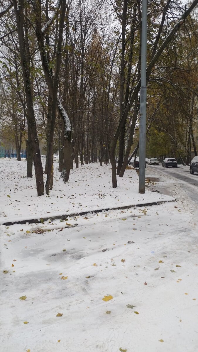 Зима, однако!