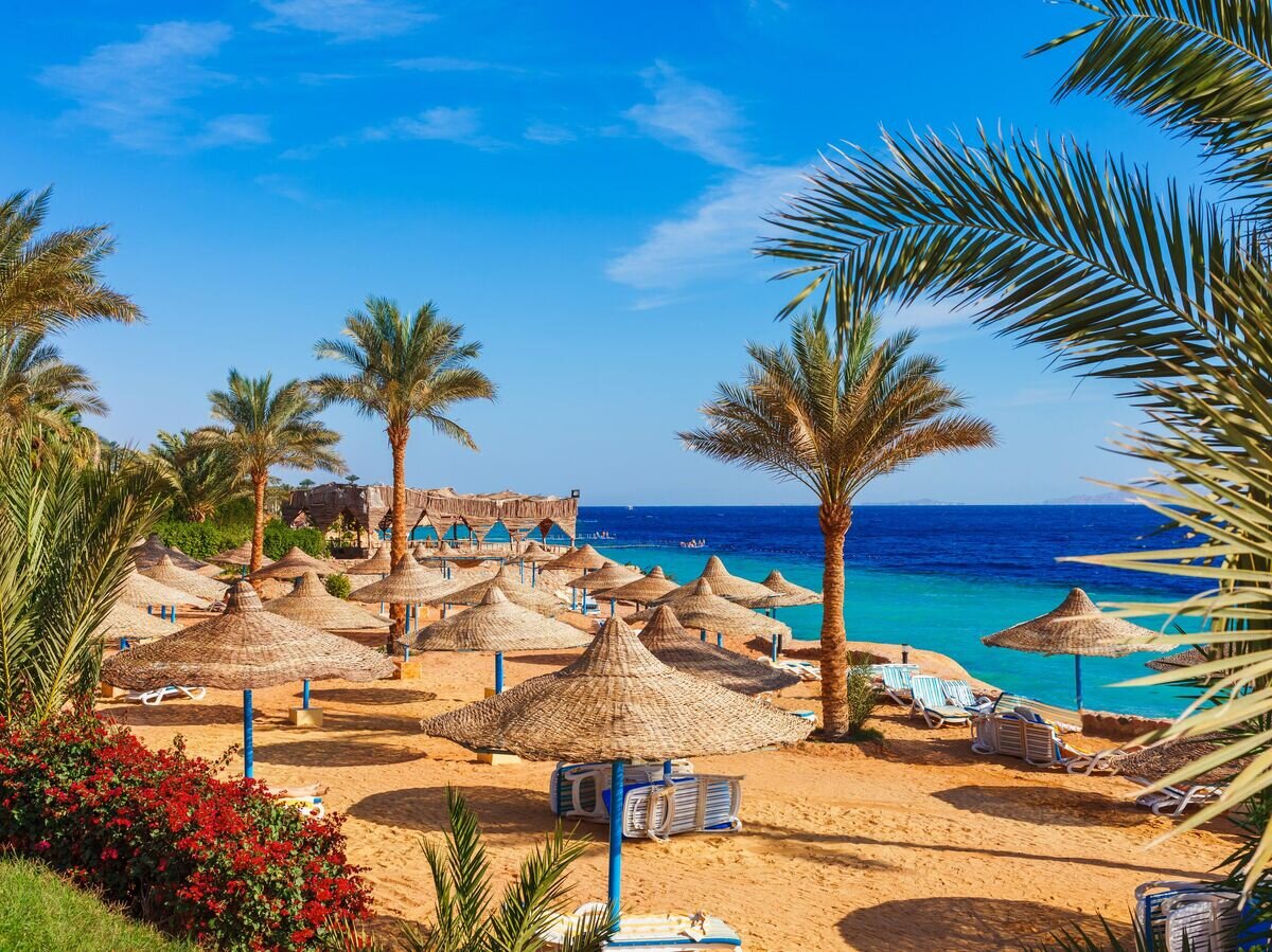    Пляж на побережье Красного моря в Шарм-эш-Шейхе© iStock.com / Oleg_P