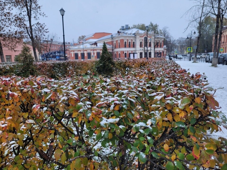 Фото: Псковская правда