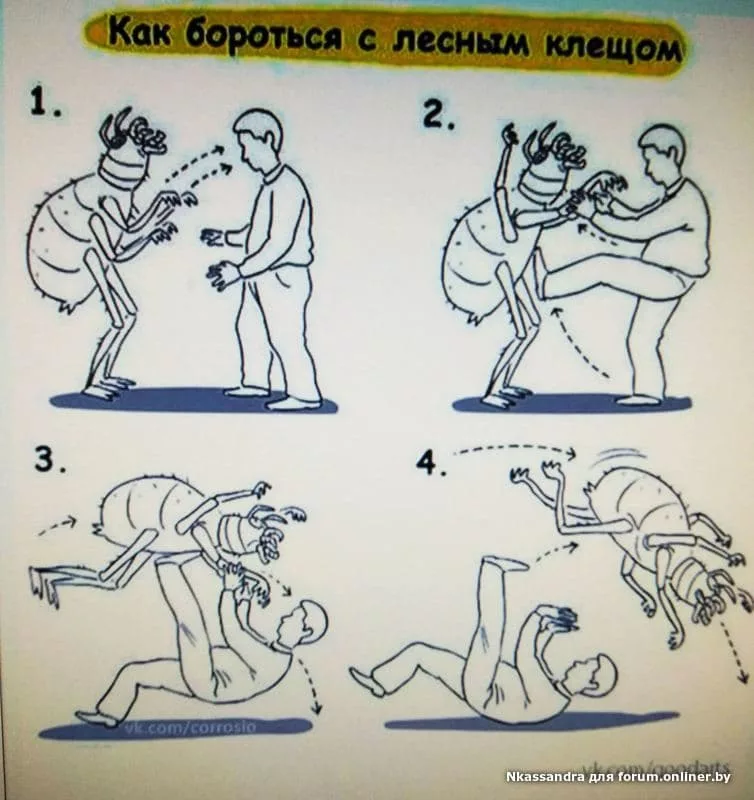 Kak borotsya s. Как бороться с клещом. Борьба с клещом Мем. Как бороться с лесным клещем. Как бороться с клещом картинка