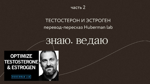 Оптимизация половых гормонов: тестостерон и эстроген. Часть 2