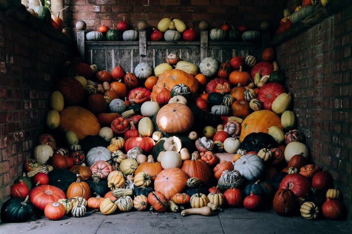     Как подсушить сырой подвал быстро и без ремонта: помогут народные методы