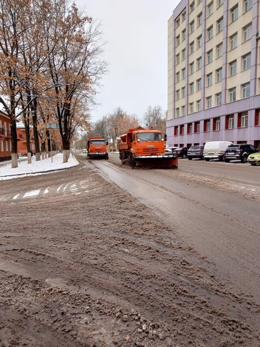 Фото пресс-службы администрации Великих Лук