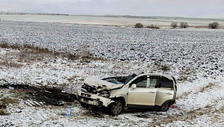    В Абдулинском округе иномарка слетела в кювет. Пострадали два человека Кристина Просвиркина