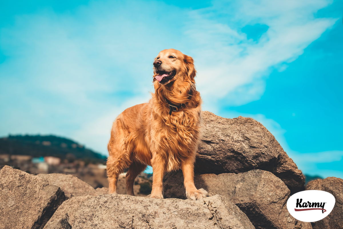 Авторское изображение с использованием картинки с фотостока "Unsplash"