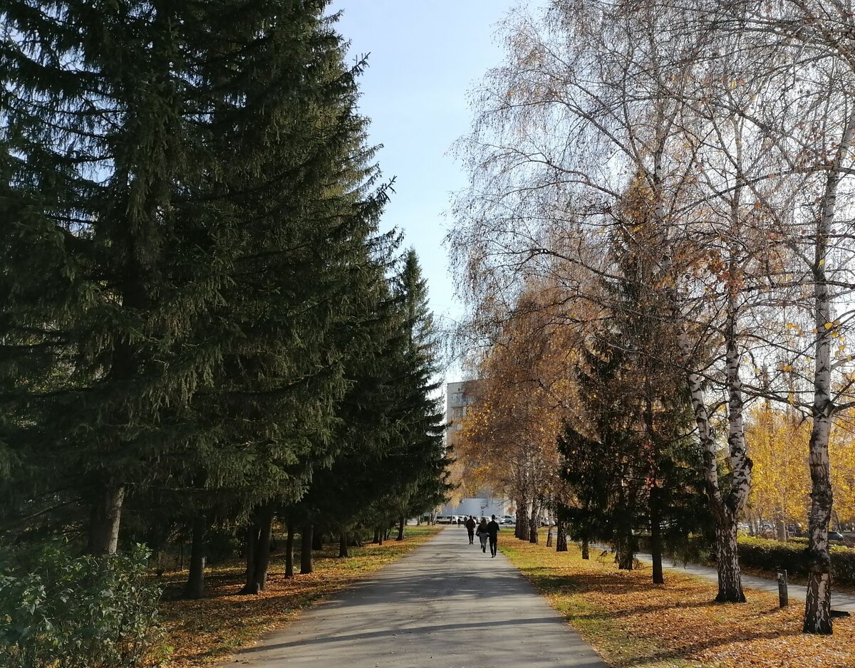 Стараюсь немного гулять по осенним улицам