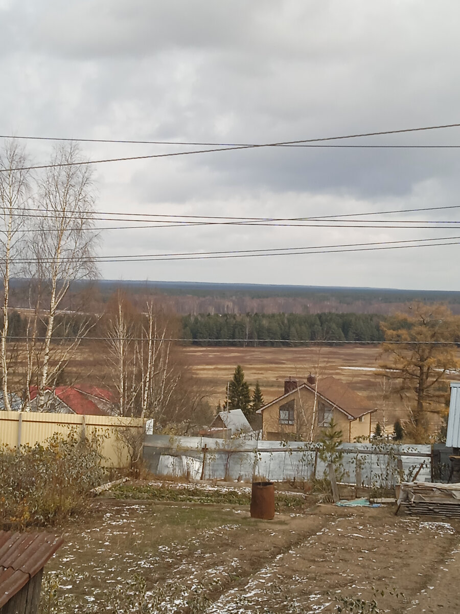 Дачная осень