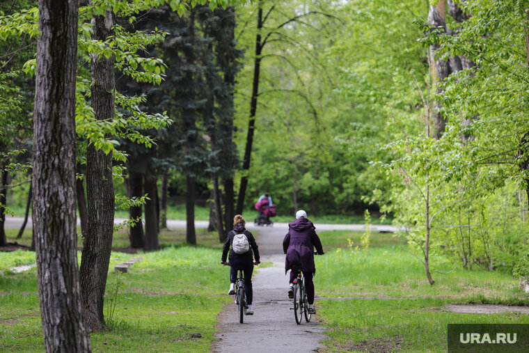   На примере Уралмаша в будущем могут развивать зеленые зоны по всему Екатеринбургу