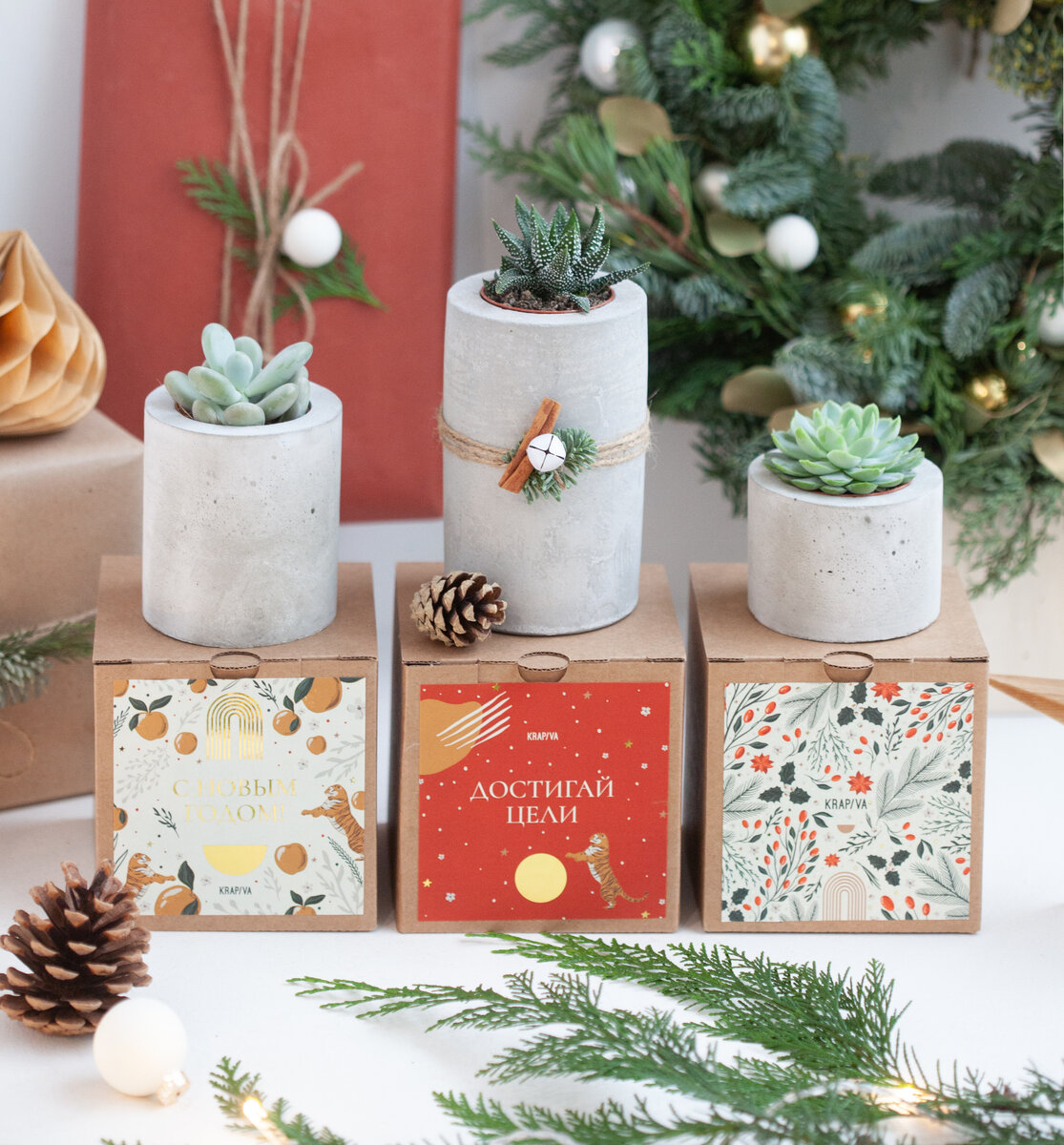 Бетонные кашпо с суккулентами в новогодней упаковке