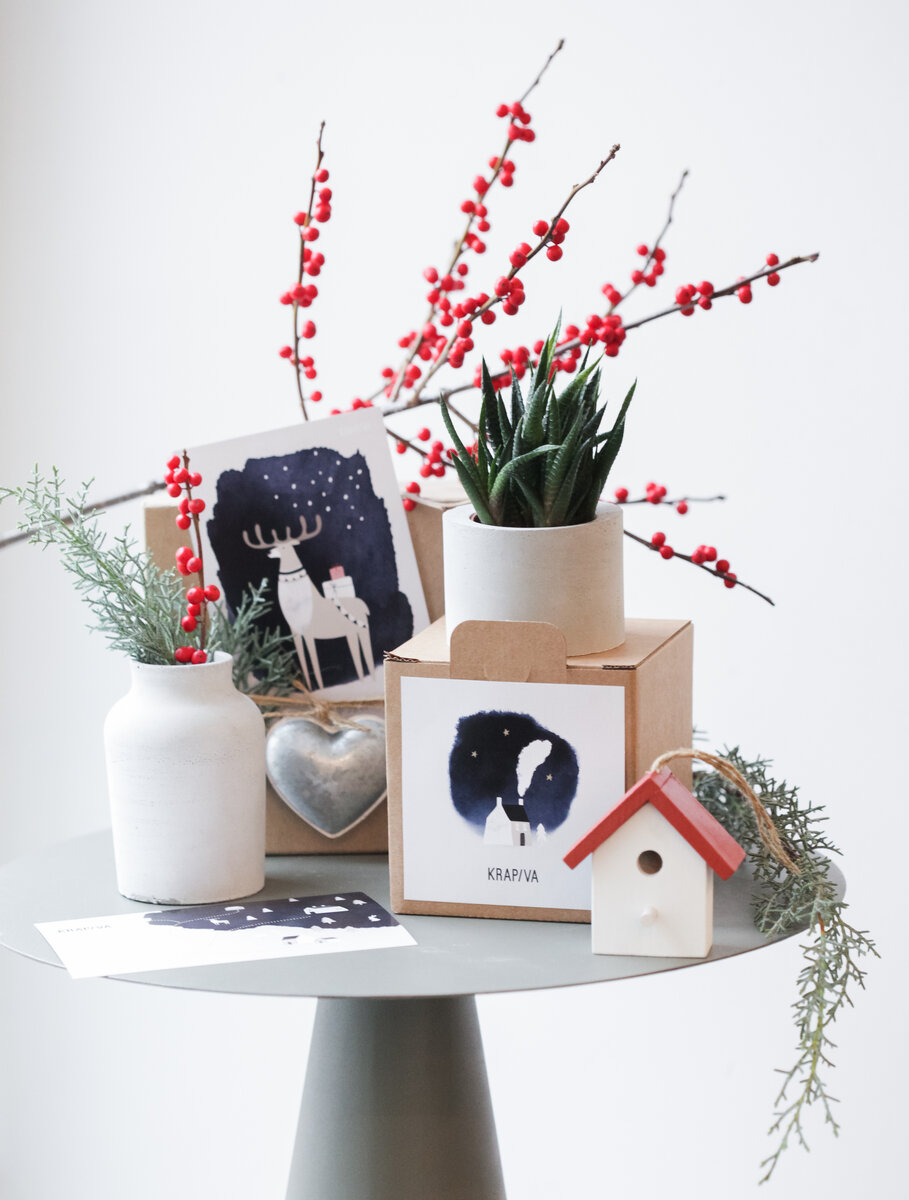 Подарочный набор с живыми растениями и новогодним декором