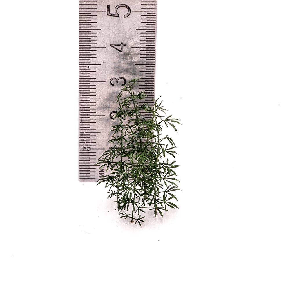 Приветствую друзья. Сегодня новостной выпуск подзадержался, завален делами. Но лучше поздно, чем никогда. Поэтому ловите свежую порцию новинок моделизма.-7-2