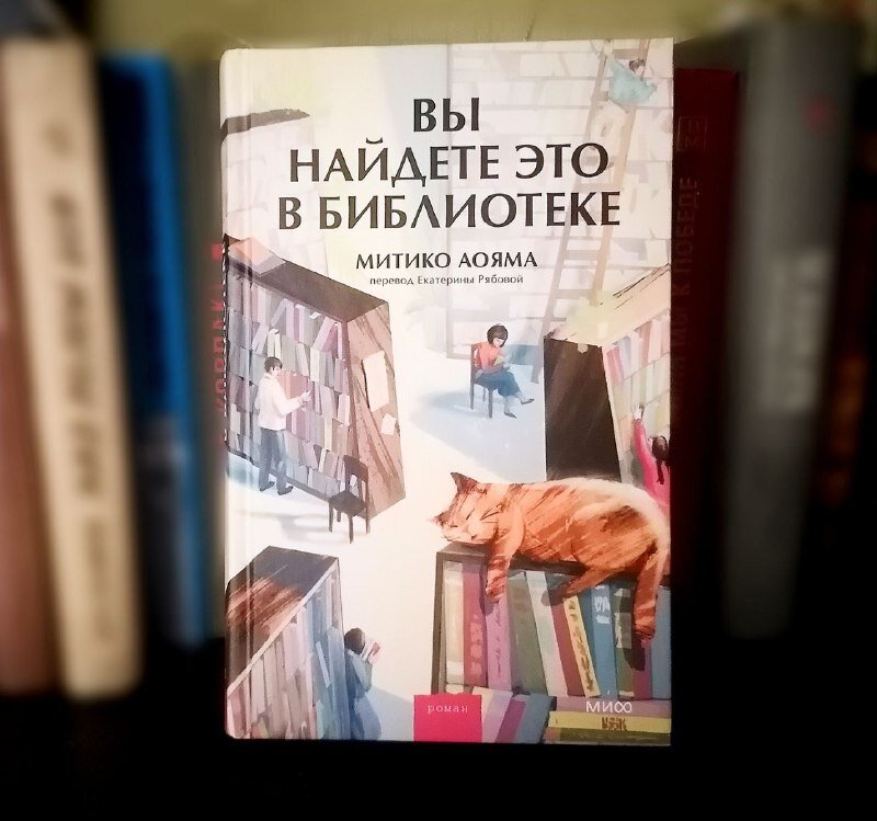 Обложка. И да, кот лежит на книгах неспроста