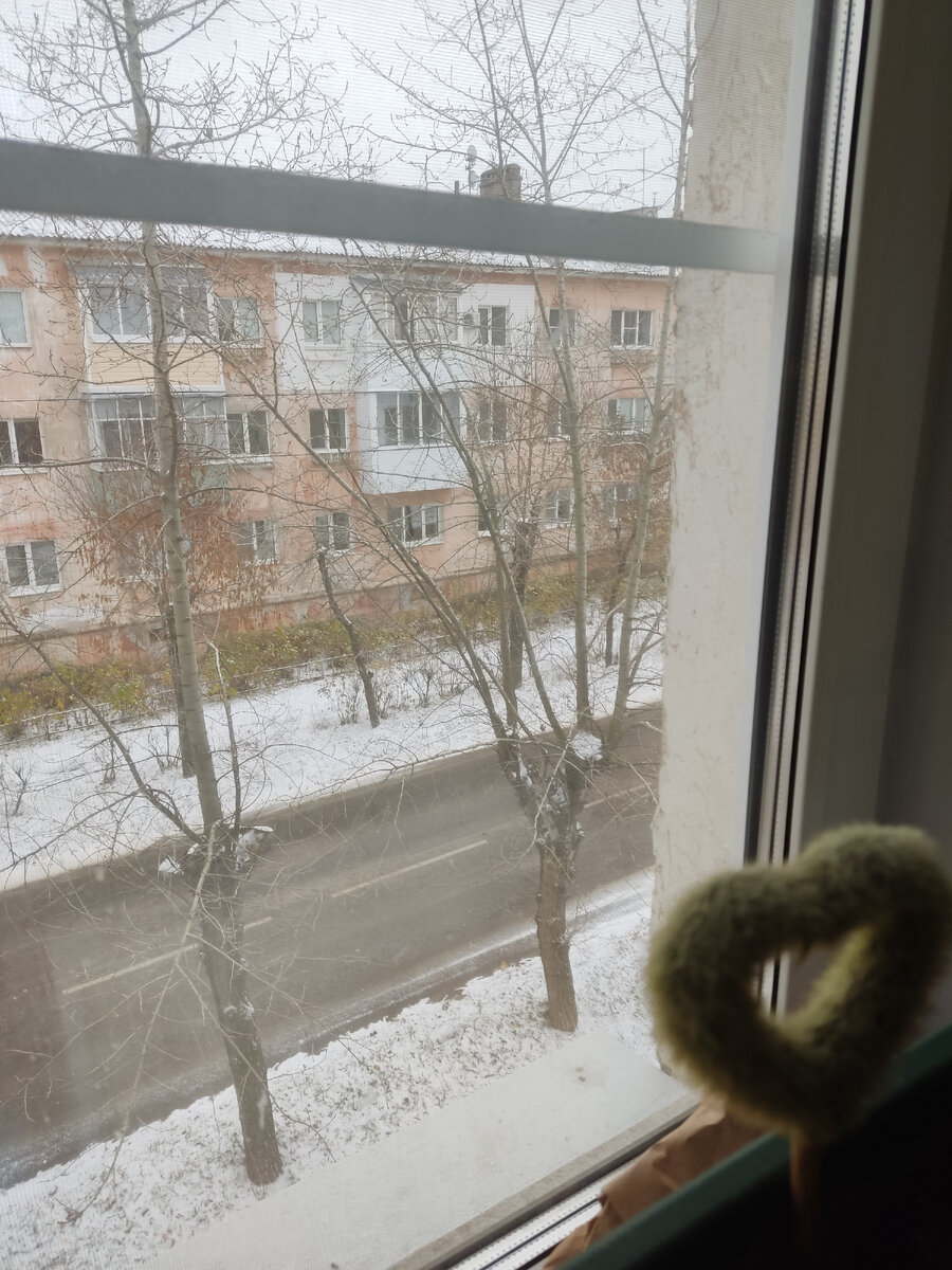 Снег за окном (фото автора)