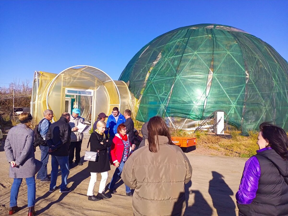 Инициаторы проекта «Клубничный купол» выращивают клубнику с использованием инновационных технологий. В последнее время хорошие урожаи также дает инжир