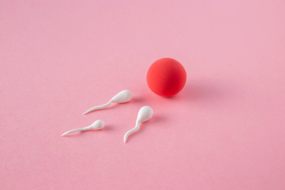 Изображение от <a href="https://ru.freepik.com/free-photo/still-life-fertility-concept_21252212.htm#query=%D0%BF%D1%80%D0%B5%D0%B4%D0%B7%D0%B0%D1%87%D0%B0%D1%82%D0%B8%D0%B5&position=6&from_view=search&track=ais">Freepik</a>