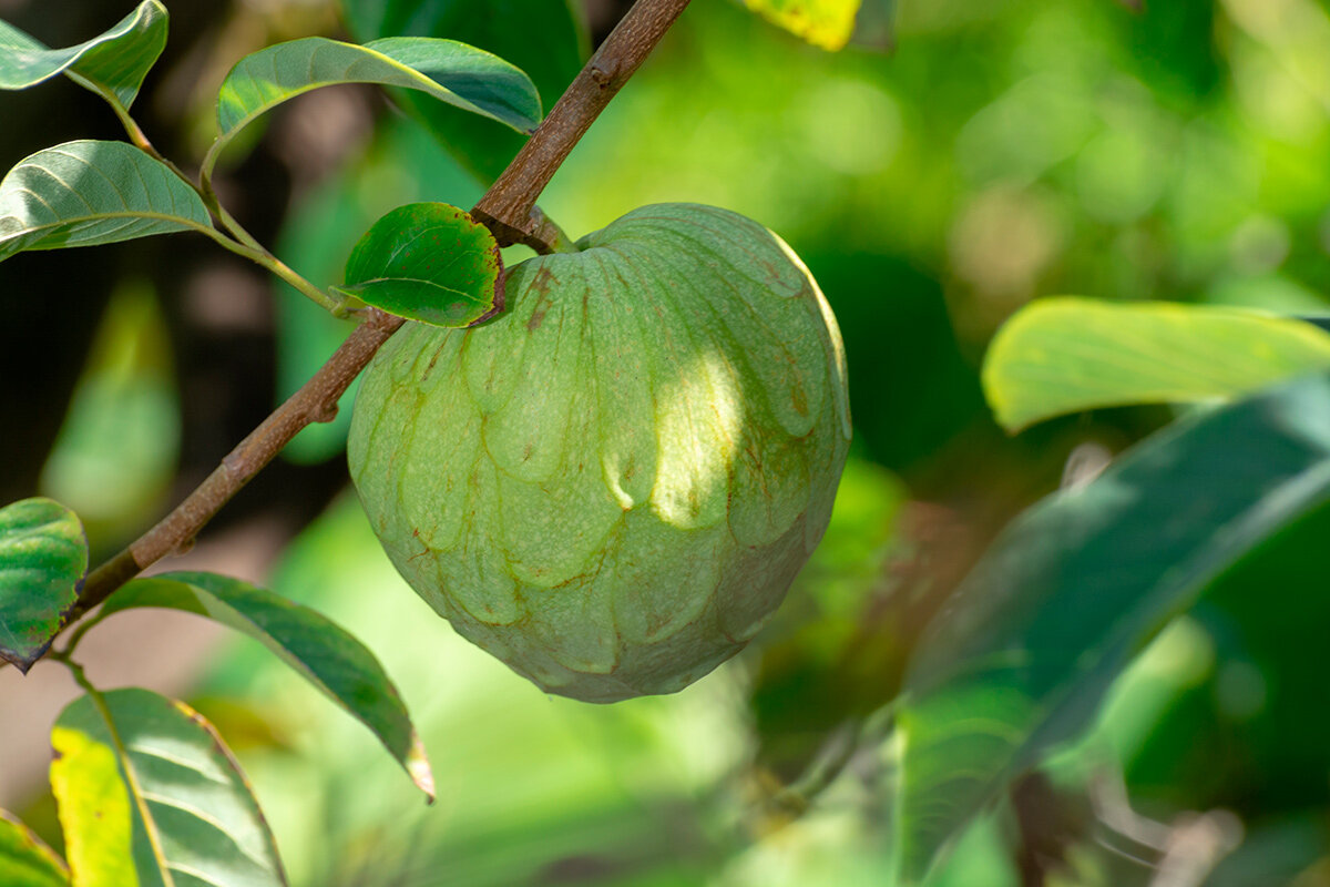    Фото: barmalini / Shutterstock.com