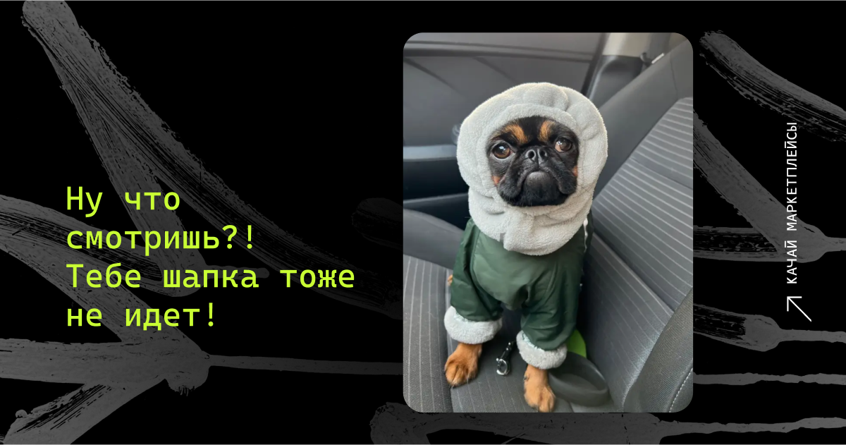 Шапка для собак