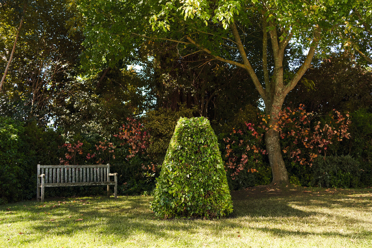 Живая изгородь в саду